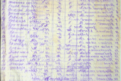 256