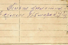 256