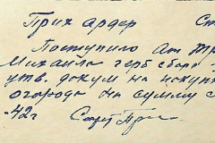 256