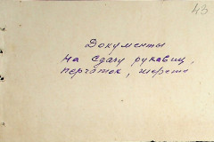 256