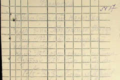 256