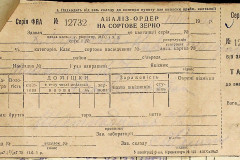 256