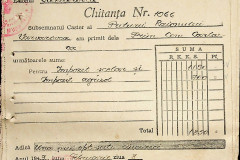 256
