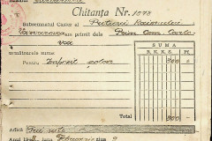 256