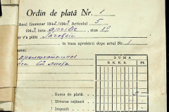 256