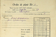 256