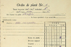 256