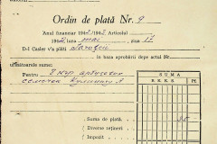 256