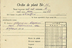 256
