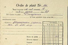 256