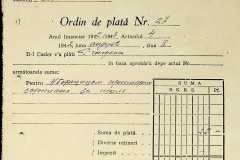 256