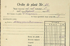 256