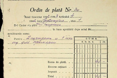 256