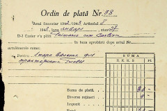 256