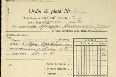 256