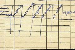 256