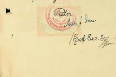 256