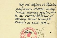 256