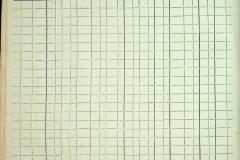 256
