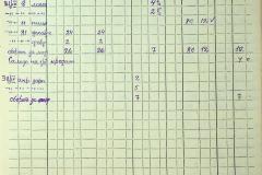 256