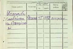 256