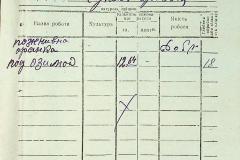 256