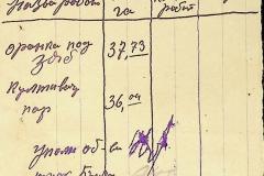 256