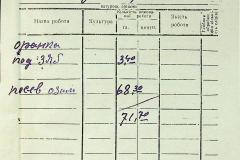 256