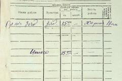 256