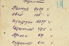 256