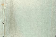 256