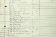 256