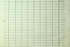 256