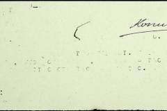 241