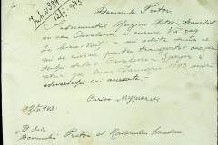 241