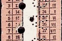 241
