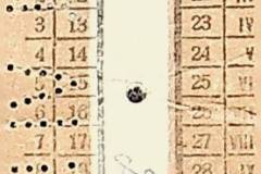 241