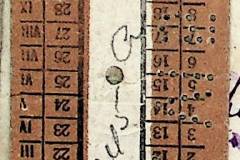 241