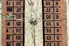 241