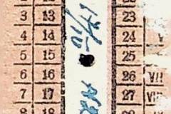 241