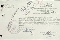241