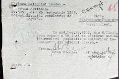 241
