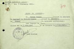 241