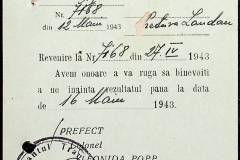 241