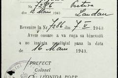241