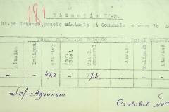 241