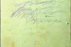 241