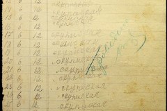 241