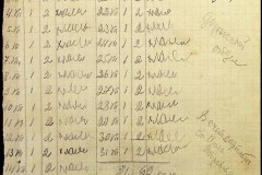 241
