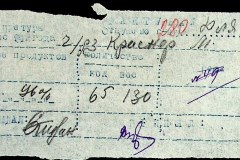 241